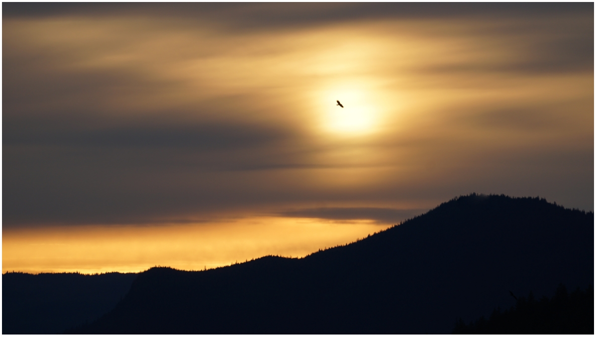 Joe Gennarelli - Juneau Sunset